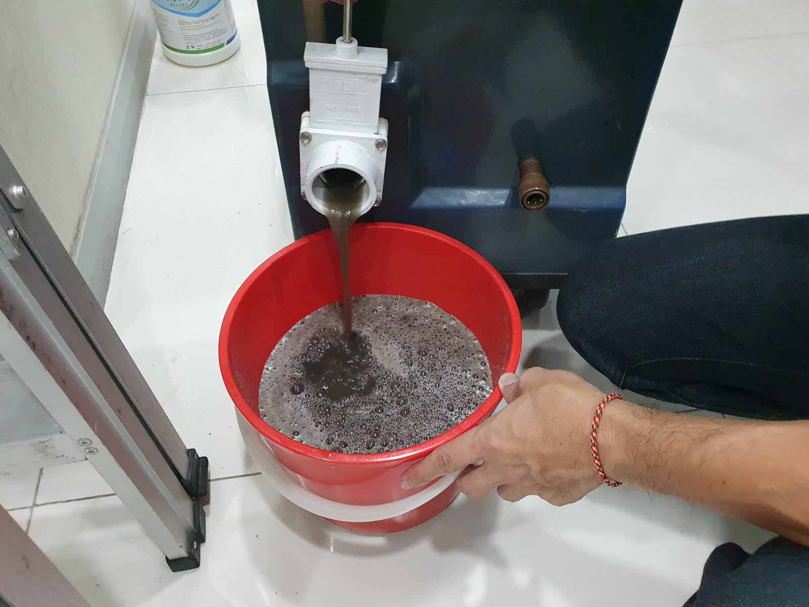 Upholstery-Cleaning-Gallery-5